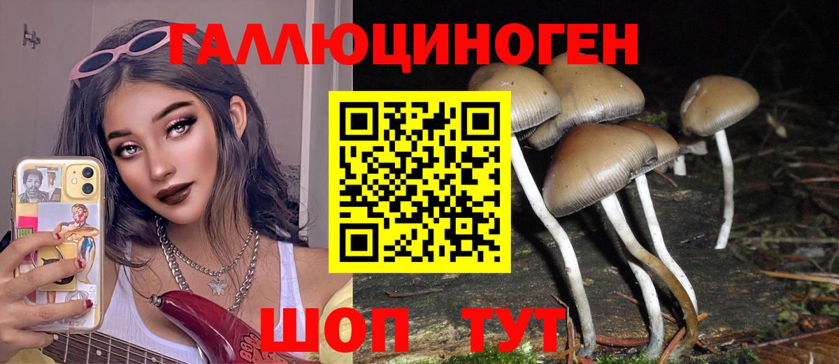 Галлюциногенные грибы GOLDEN TEACHER  Вход с VPN  Серов 