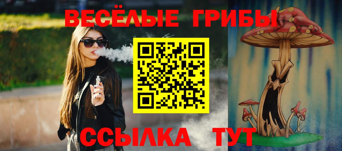 Галлюциногенные грибы Cubensis Серов